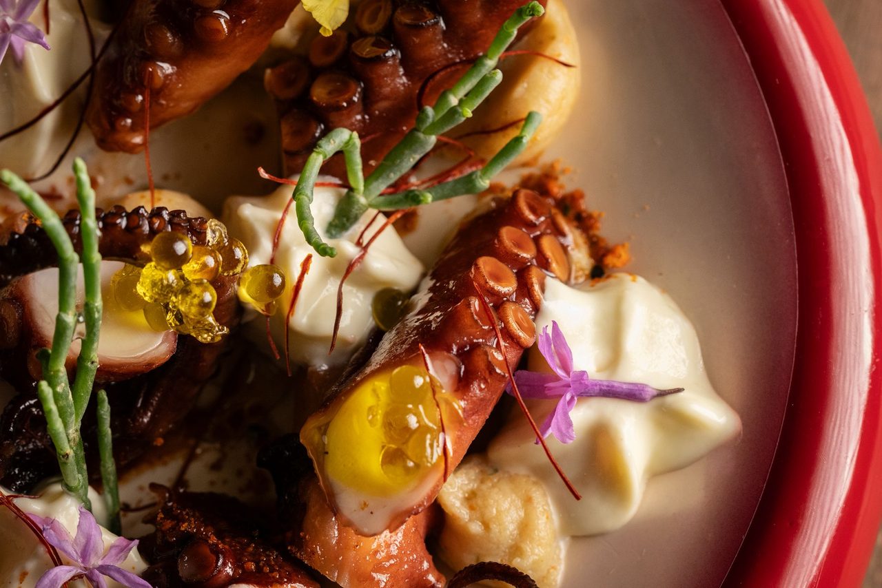 Pulpo de autor de Travieso